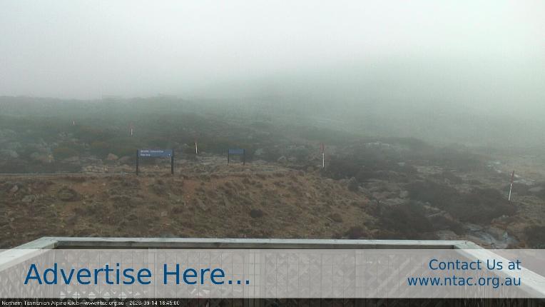 Webcam Ben Lomond: Top Slopes