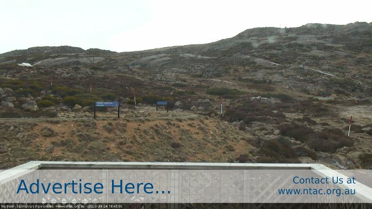 Webcam Ben Lomond: Top Slopes