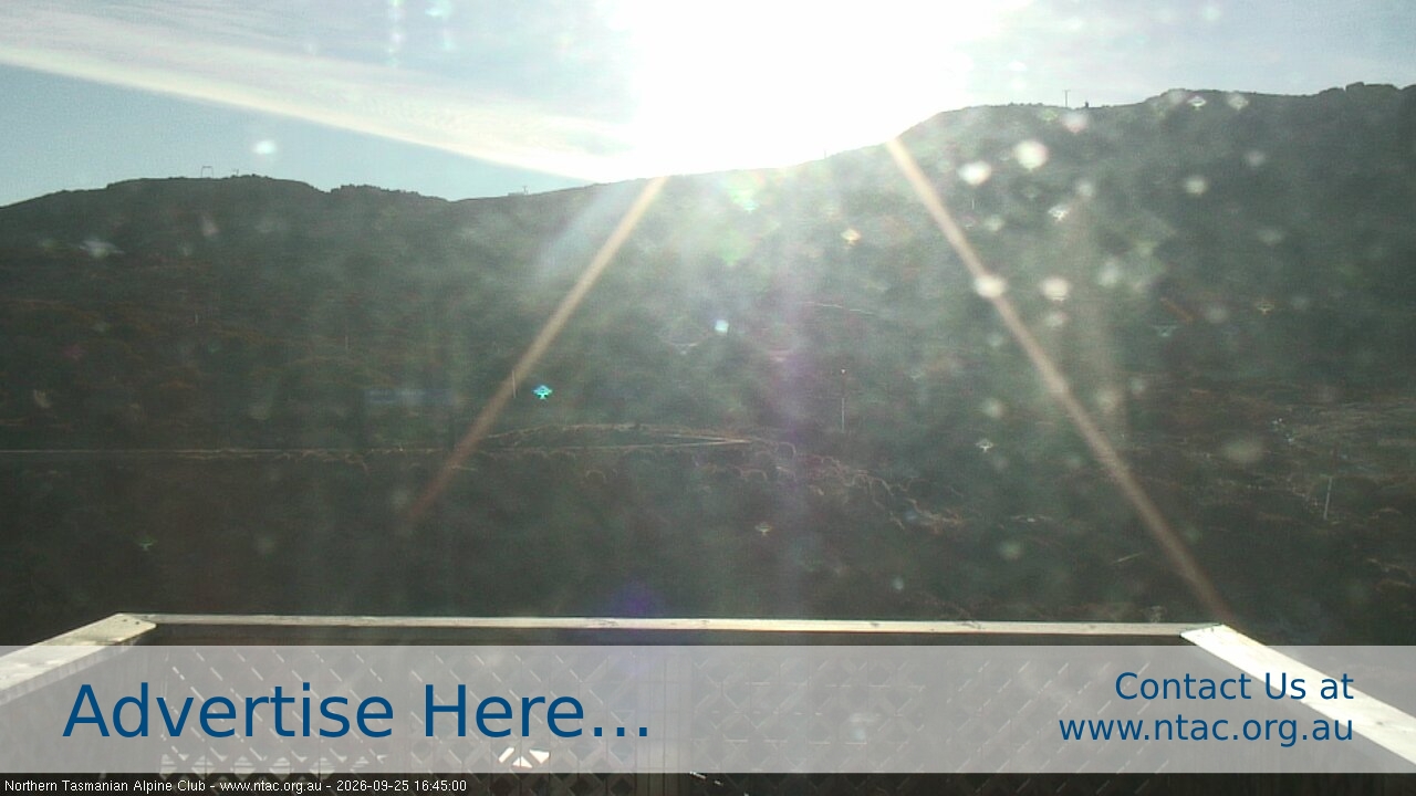 Webcam Ben Lomond: Top Slopes