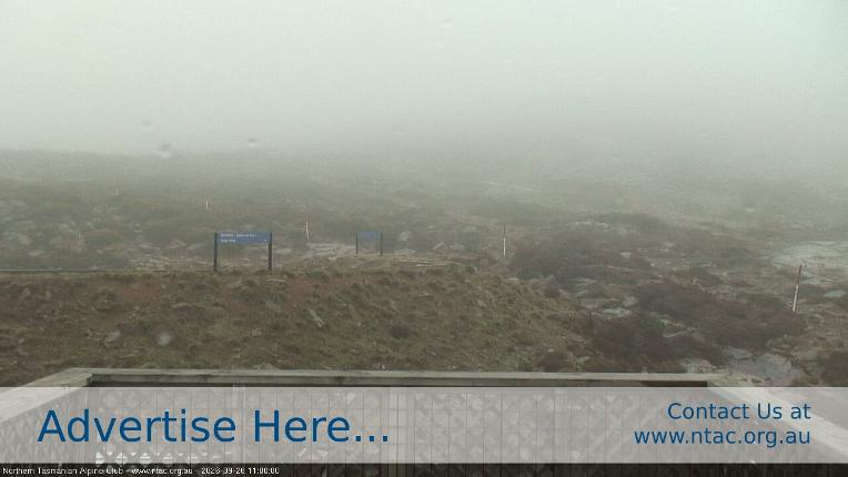 Webcam Ben Lomond: Top Slopes