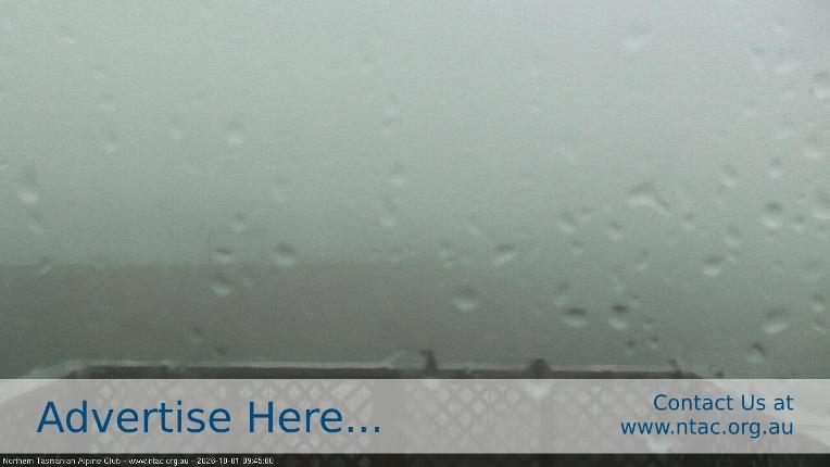 Webcam Ben Lomond: Top Slopes