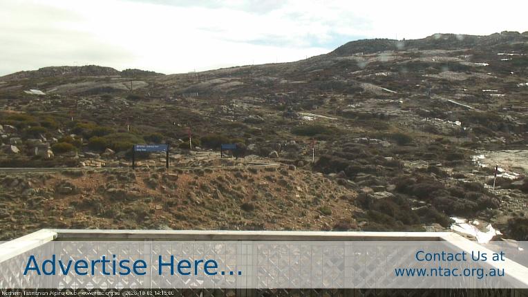 Webcam Ben Lomond: Top Slopes
