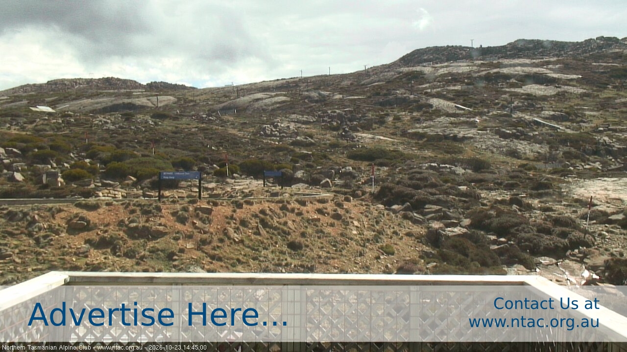 Webcam Ben Lomond: Top Slopes