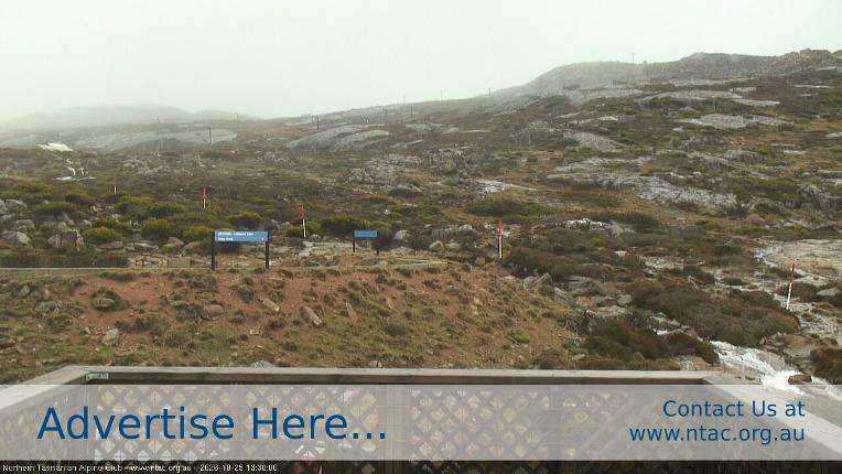 Webcam Ben Lomond: Top Slopes