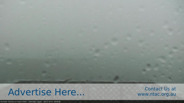 Webcam Ben Lomond: Top Slopes
