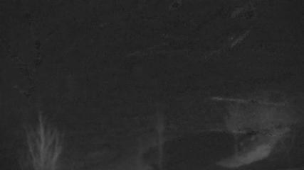 Blue Mountain: Base (bluemountain.ca)