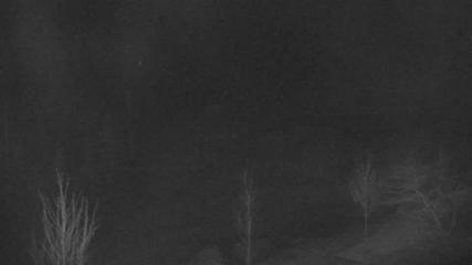 Blue Mountain: Base (bluemountain.ca)