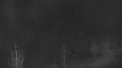 Blue Mountain: Base (bluemountain.ca)