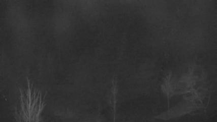 Blue Mountain: Base (bluemountain.ca)