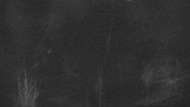 Webcam Blue Mountain: Base