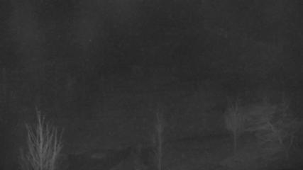 Blue Mountain webcam