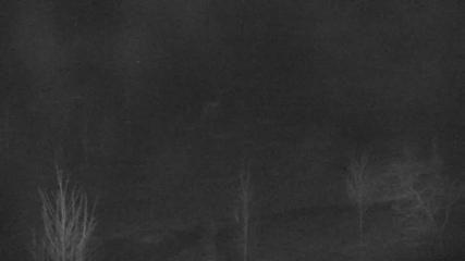 Blue Mountain webcam