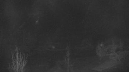 Blue Mountain: Base (bluemountain.ca)