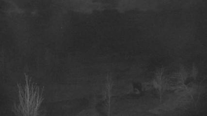 Blue Mountain: Base (bluemountain.ca)