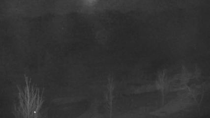 Blue Mountain: Base (bluemountain.ca)