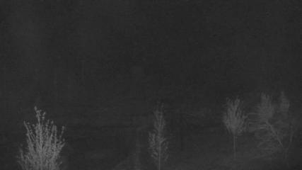 Blue Mountain webcam