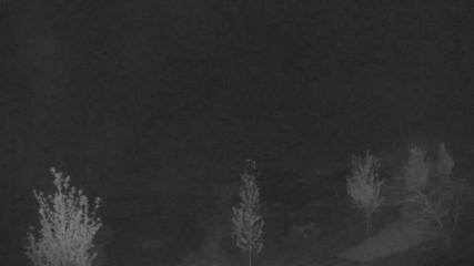 Blue Mountain webcam