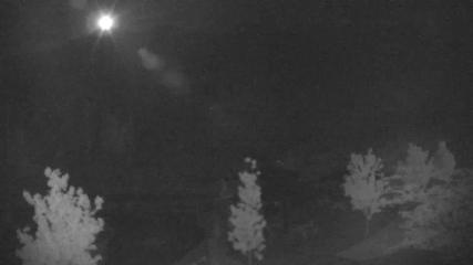 Blue Mountain webcam