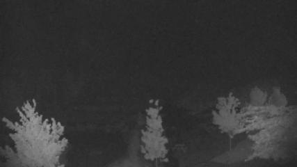 Blue Mountain webcam