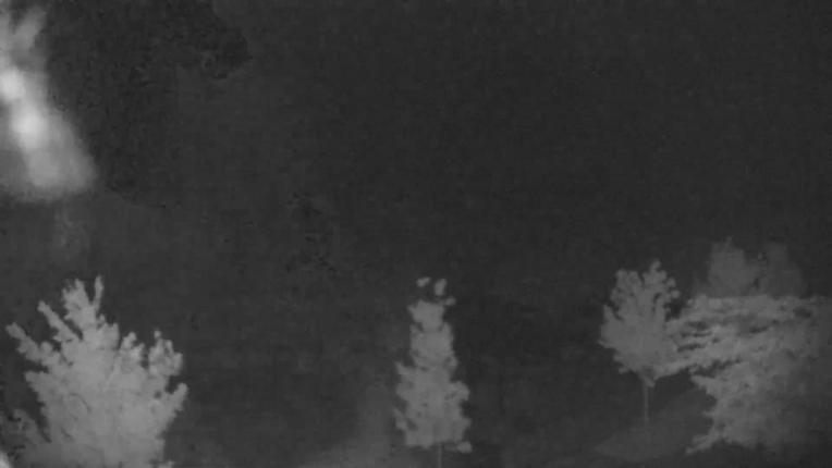 Webcam Blue Mountain: Base