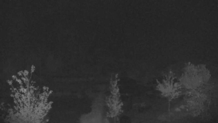 Webcam Blue Mountain: Base
