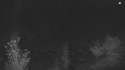 Blue Mountain webcam