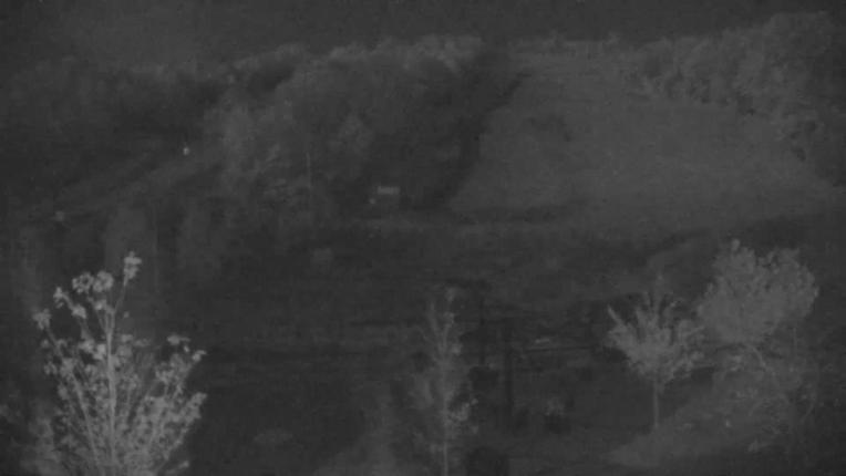 Webcam Blue Mountain: Base