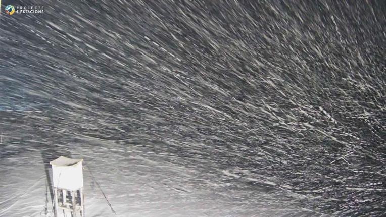 Webcam Boí Taüll: Cap Mulleres 2270m