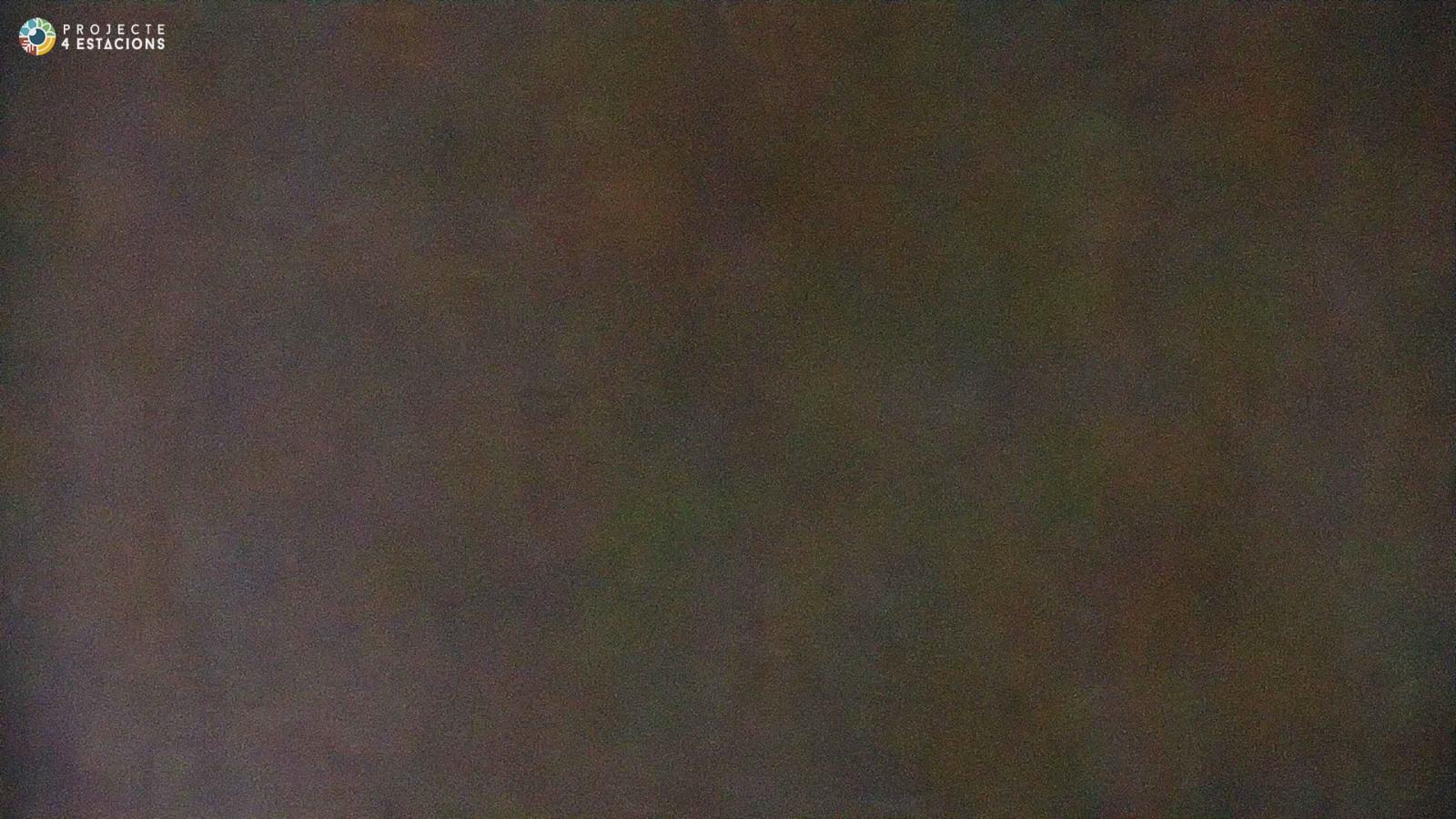 Webcam Boí Taüll: Cap Mulleres 2270m