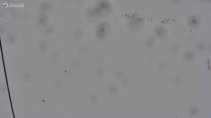 Boí Taüll: Cap Mulleres 2270m (vallboi.cat)