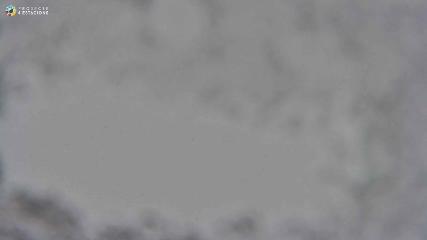 Boí Taüll: Cap Mulleres 2270m (vallboi.cat)