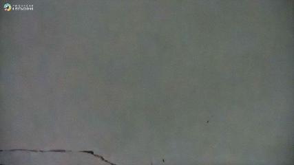 Boí Taüll: Cap Mulleres 2270m (vallboi.cat)