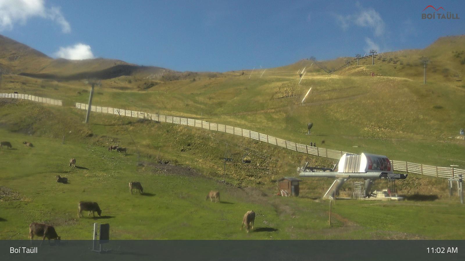Webcam Boí Taüll: Cinta