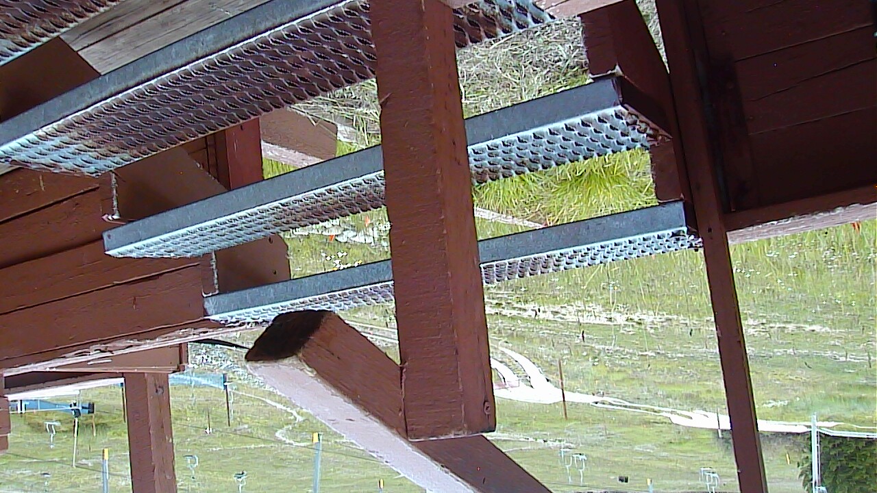 Webcam Breckenridge: Base of peak 8