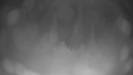 Breckenridge: Peak 8 from Peak 9 (breckenridge.com)