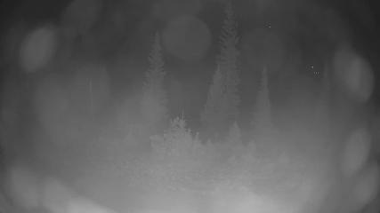 Breckenridge: Peak 8 from Peak 9 (breckenridge.com)
