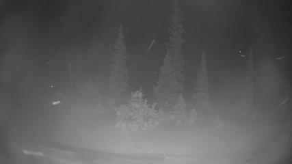 Breckenridge: Peak 8 from Peak 9 (breckenridge.com)