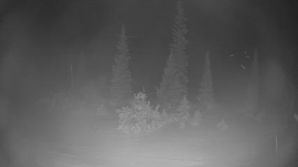Breckenridge webcam