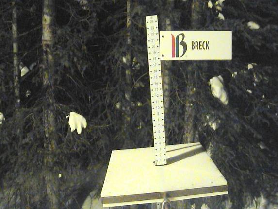 Webcam Breckenridge: Snow stake