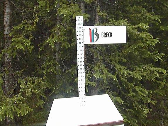 Webcam Breckenridge: Snow stake