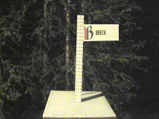 Breckenridge: Snow stake (breckenridge.com)