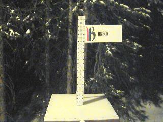 Breckenridge: Snow stake (breckenridge.com)