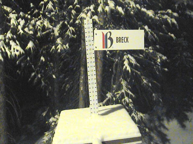Webcam Breckenridge: Snow stake
