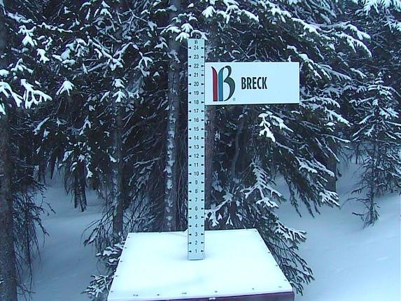 Webcam Breckenridge: Snow stake