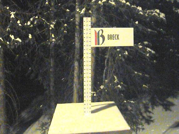 Webcam Breckenridge: Snow stake
