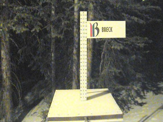 Webcam Breckenridge: Snow stake