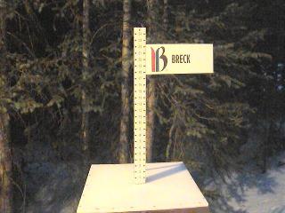 Breckenridge: Snow stake (breckenridge.com)