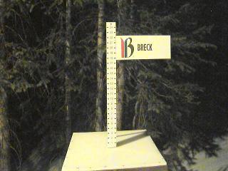 Breckenridge: Snow stake (breckenridge.com)