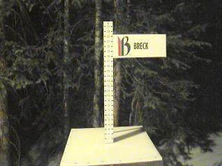 Breckenridge webcam