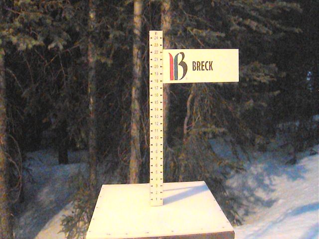 Webcam Breckenridge: Snow stake